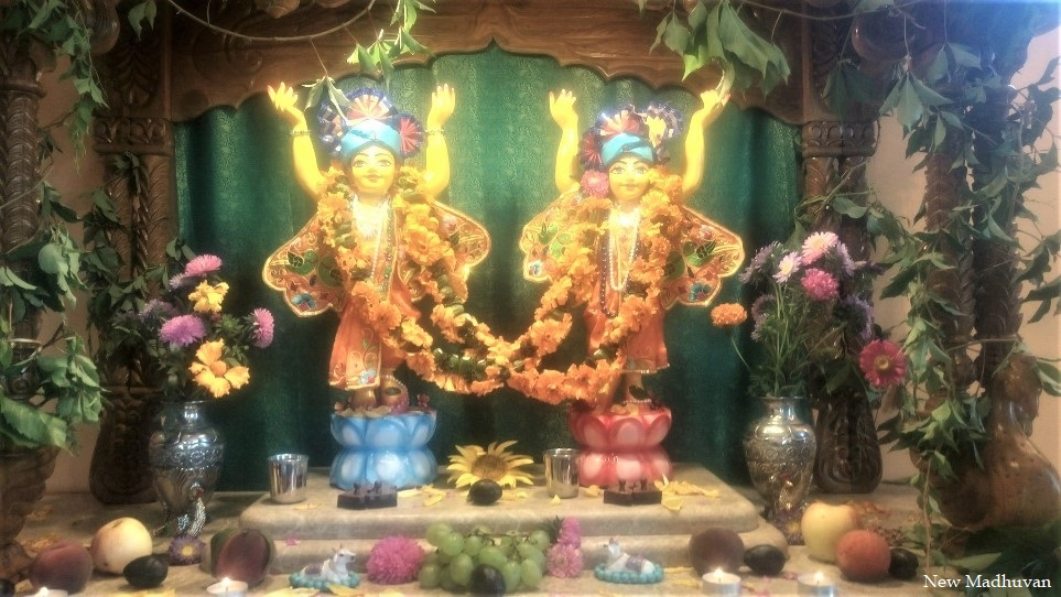 Śrī Śrī Gaura-Nitāi — the presiding Deities of New Madhuvan