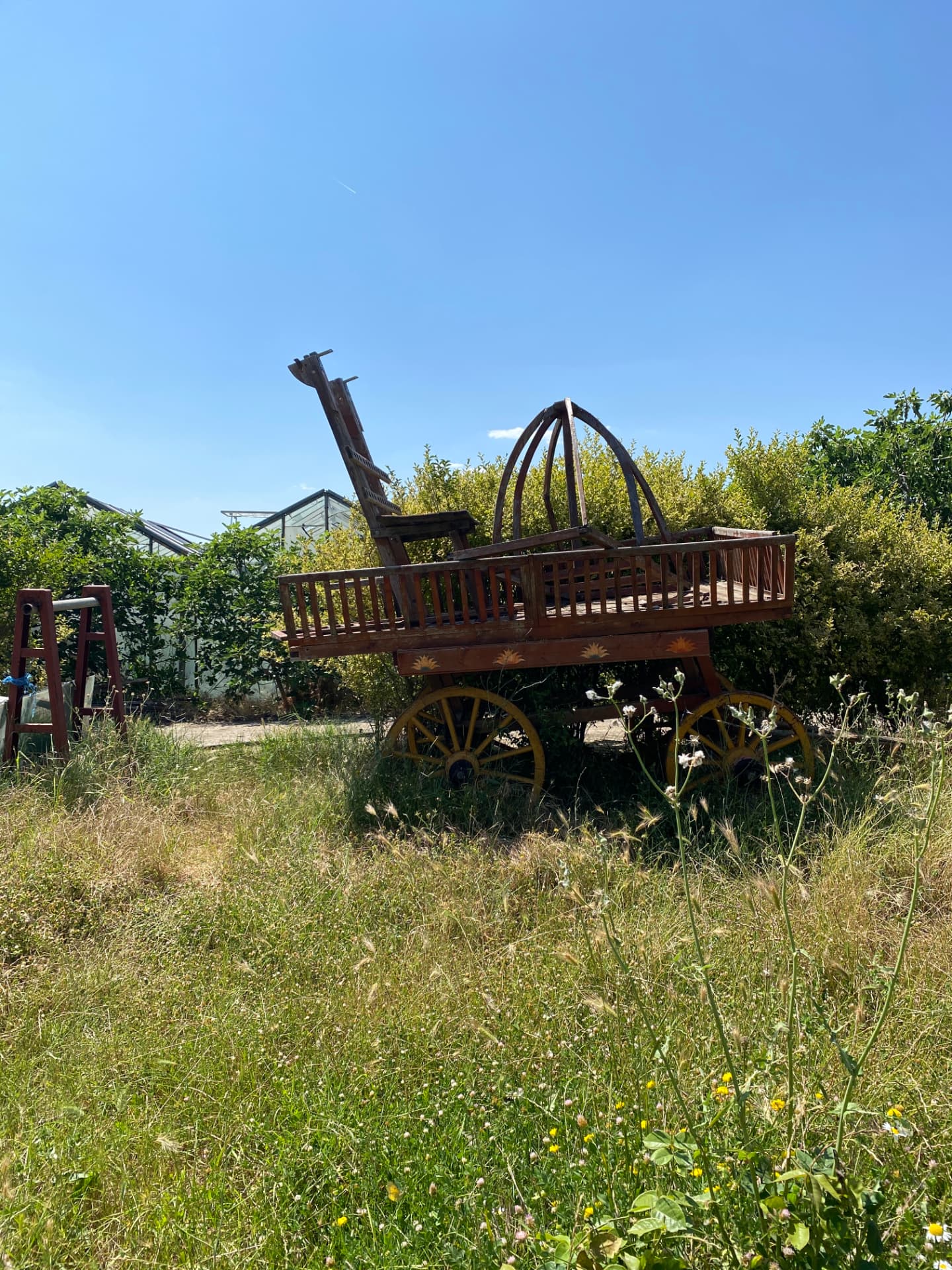 An old wooden cart resting in the meadow